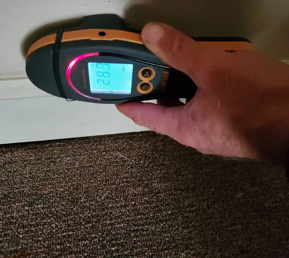 Moisture detection at baseboard during Mold Inspection & Testing in Ripon